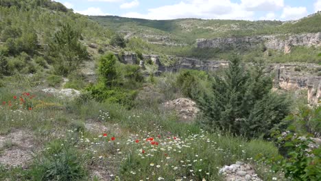 Spanien-Rio-Jucar-Klippen-Mit-Mohn-Und-Gänseblümchen