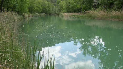 Spain-Rio-Jucar-Reflections