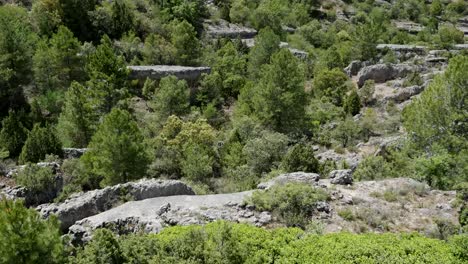 Spanien-Serrania-De-Cuenca-Felsen-Und-Bäume