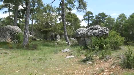 Spain-Serrania-De-Cuenca-Rocks-With-Pines