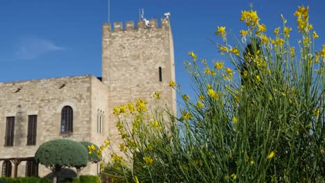 Spanien-Tortosa-Schloss-Und-Gelbe-Blumen