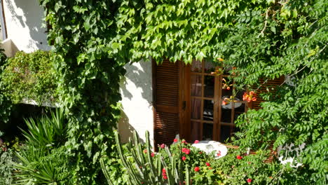 Greece-Crete-A-Door-Surrounded-By-Ivy