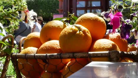 Greece-Crete-Oranges-In-A-Basket