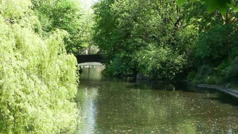 Irland-Dublin-St-Stephens-Grüner-Teich-und-Vögel