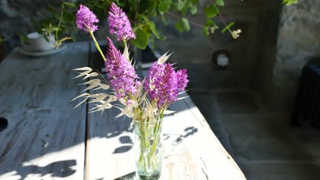 Orquideas-Pirineos-España