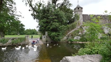 Irland-Cahir-Castle-Am-Fluss-Suir-Mit-Menschen,-Die-Gänse-Füttern?