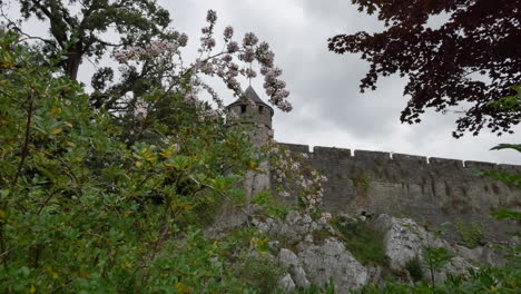 Ireland-Cahir-Castle-Wall