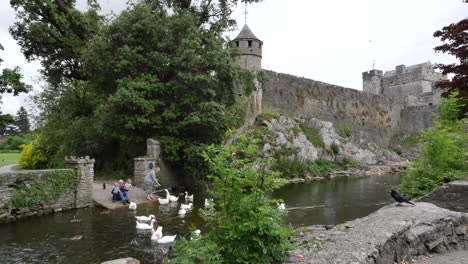 Castillo-De-Irlanda-Cahir-Con-Abuelos-Alimentando-Cisnes