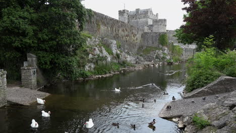Irland-Cahir-Fluss-Mit-Burg-Und-Vögeln