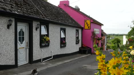 Irlanda-Cashel-Casas-Blancas-Y-Rosas-Con-Flores-Amarillas