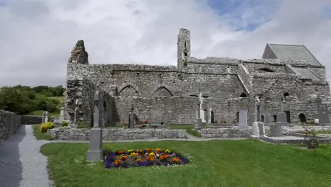 Irland-Corcomroe-Abbey-Mit-Blumen-In-Der-Friedhofspfanne