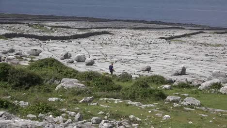 Irland-County-Clare-The-Burren-Bei-Black-Head-Mit-Mann,-Der-Auf-Wände-Zugeht