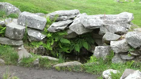 Ireland-County-Cork-Drombeg-Well-With-Ferns-