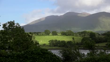Irland-Dingle-Halbinsel-Cloghane-Blick-Berg