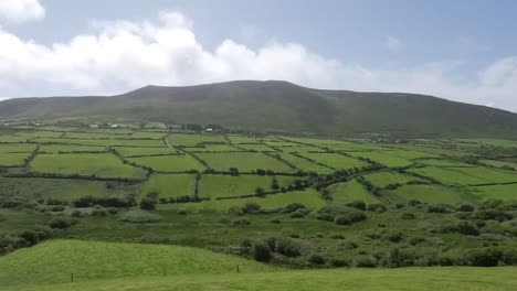 Ireland-Dingle-Peninsula-Hill-With-Hedgerows-Time-Lapse-Pan