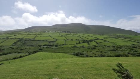 Irland-Dingle-Peninsula-Hill-Mit-Hecken-Im-Zeitraffer