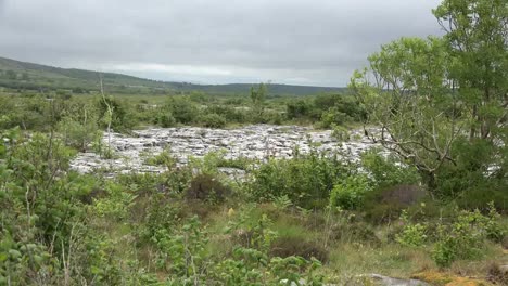 Ireland-The-Burren-Barren-Limestone-