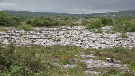 Irland-Der-Burren-Kalkstein-Karst