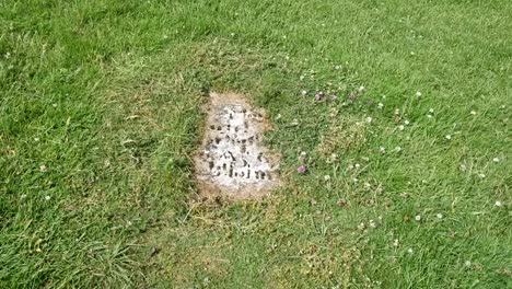 Ireland-Clonmacnoise-Partly-Buried-Grave-Marker