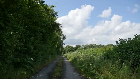 Condado-De-Irlanda-Offaly-Lane-Lane