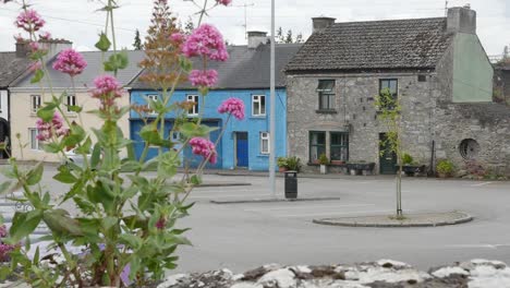 Irland-County-Offaly-Kleine-Stadthäuser-Mit-Blumen