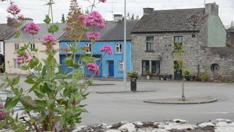 Condado-De-Irlanda-Offaly-Casas-Pequeñas-Con-Flores