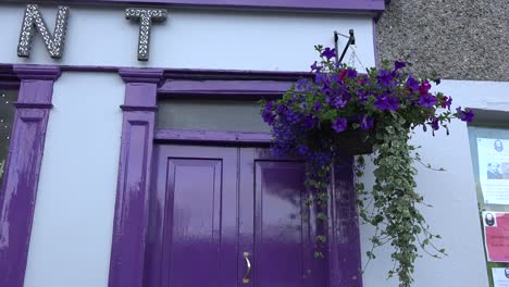 Flores-De-Irlanda-Por-Una-Puerta-Morada