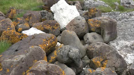Northern-Ireland-Antrim-Zooms-On-Lichens-On-Rocks