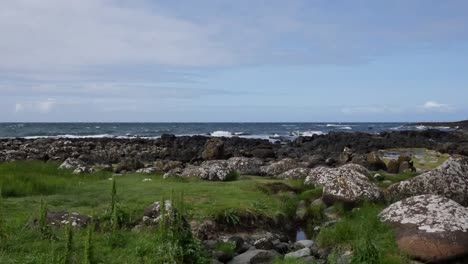 Costa-De-La-Calzada-De-Los-Gigantes-De-Irlanda-Del-Norte-Con-Un-Pequeño-Arroyo