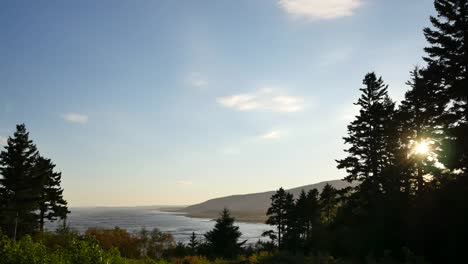 Canada-Sun-Through-Trees-By-Coast