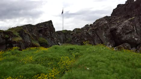 Iceland-Pingvellir-Flag-Over-Rift-With-Foreground-Flowers