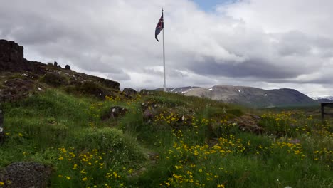 Islandia-Pingvellir-Flores-Con-Bandera