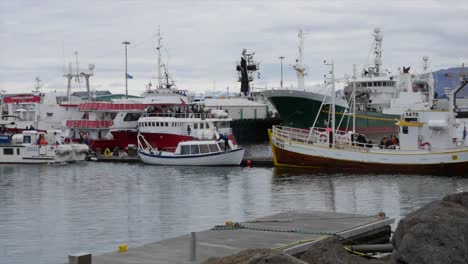 Island-Reykjavik-Bootshafen