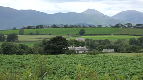 Northern-Ireland-Mountains-Of-Mourne-Behind-Fields-