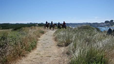 Oregon-Bandon-Pferde-Am-Fluss