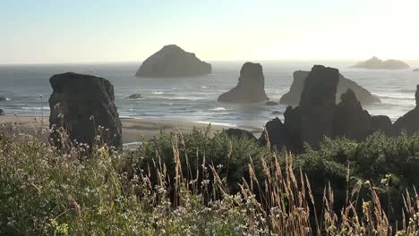 Oregon-Bandon-Seestapel-Und-Wehendes-Gras