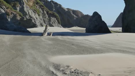 Oregon-Bläst-Sand