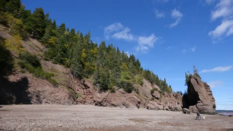 Canadá-Nuevo-Brunswick-Hopewell-Rocks-La-Gente-Camina-Con-Perros