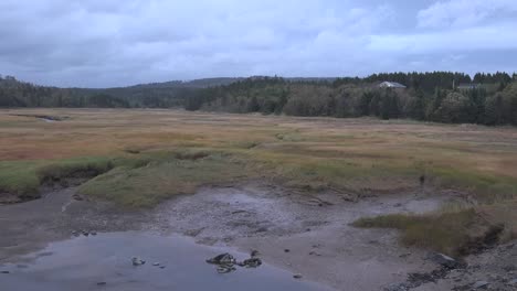 Canadá-Nova-Escocia-Marea-Barro-Plano-Y-Pantano