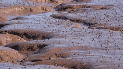 Canada-Rounded-Shapes-On-Mud-Flats
