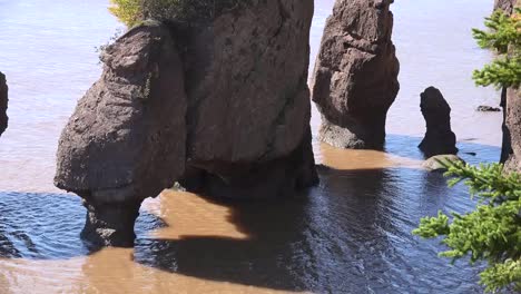 Kanada-Drop-Bay-Of-Fundy-Tide-Bei-Hopewell-Rocks