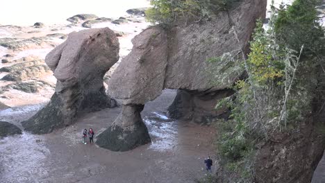 Canada-Looking-Down-At-Tourists-Exploring-Hopewell-Rocks