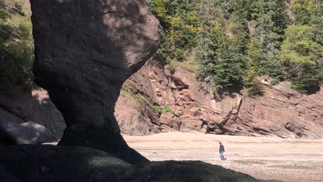 Canada-Man-Walks-Along-At-Hopewell-Rocks