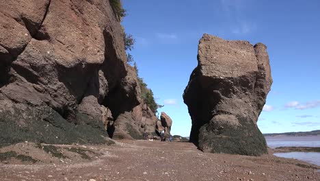 Canadá-Personas-Exploran-Con-Un-Perro-En-Hopewell-Rocks