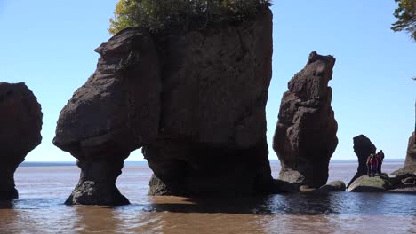 Canadá-Personas-Se-Paran-Sobre-Las-Rocas-En-Hopewell-Rocks