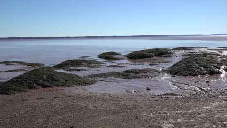 Canada-Rocks-And-Mud-By-The-Bay-Of-Fundy