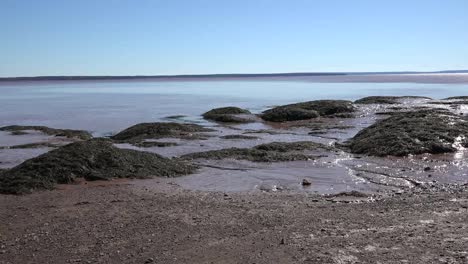 Kanada-Felsen-Und-Schlamm-An-Der-Bucht-Von-Fundy