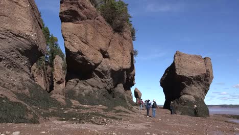 Canada-Tourists-Enjoying-Low-Tide-At-Hopewell-Rocks