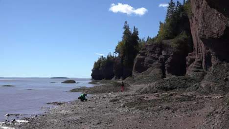 Kanada-Touristen-Erkunden-Hopewell-Rocks