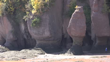 Canada-Tourists-Look-Small-By-Wave-Carved-Landforms-At-Hopewell-Rocks